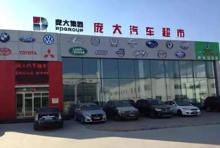 庞大集团遭投诉掏空公司资产，或将退市