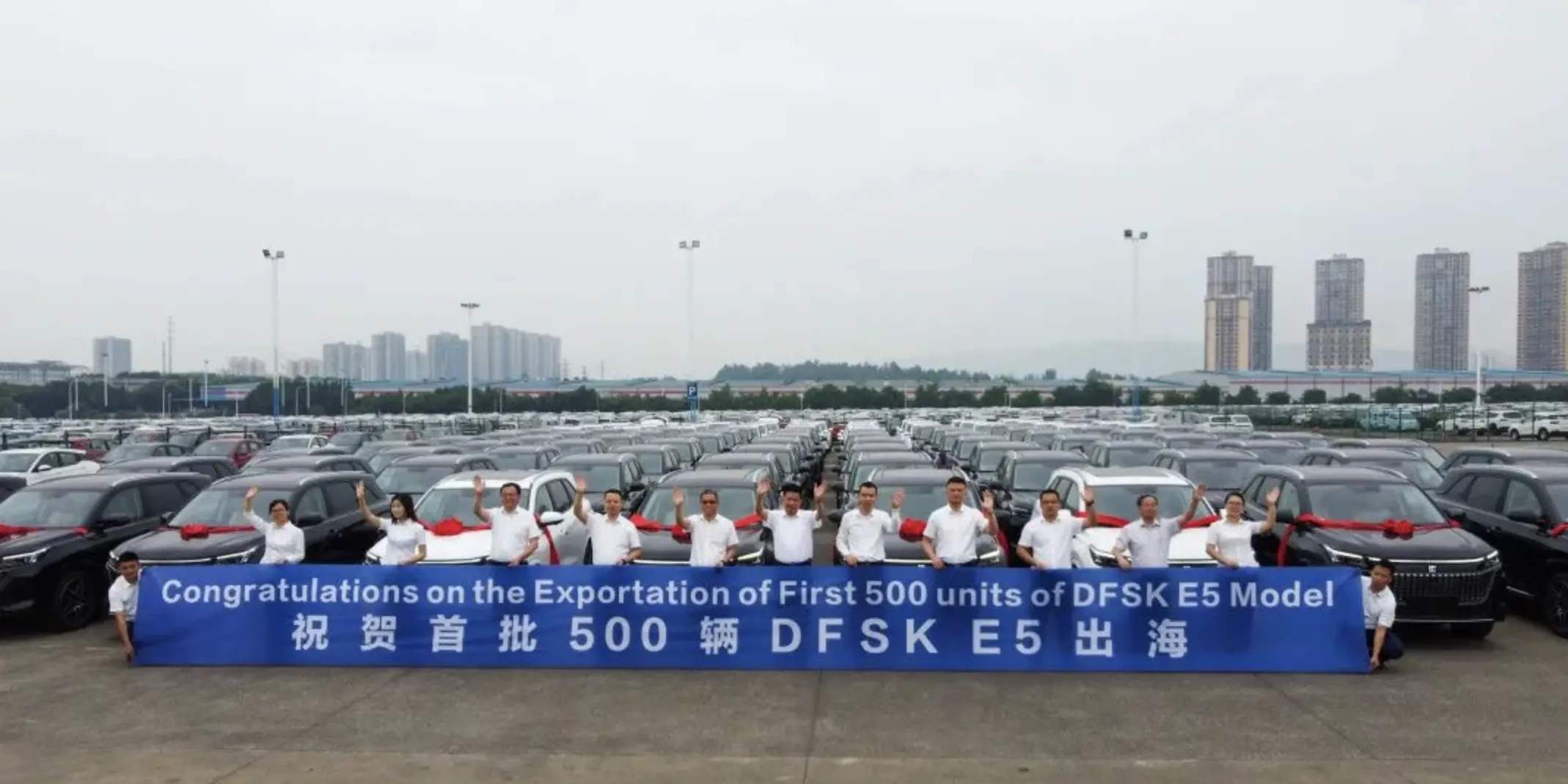 赛力斯旗下蓝电汽车出口500辆车，瞄准“一带一路”市场