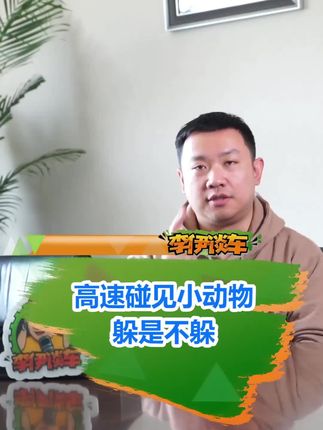 高速公路遇到小猫小狗 冲撞过去还是紧急避让？#安全出行 #交规 #行车