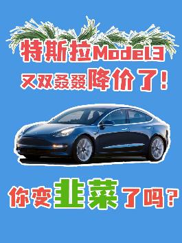 到底啥时候买特斯拉才不亏？#星巢计划 #星巢玩车人 #特斯拉 #model3 @抖音汽车 @抖音小助手