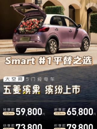 Smart 1平替之选，五菱缤果不到6万#smart #五菱 #五菱缤果