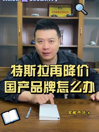 #特斯拉 再出新车型 价格更低#国产新能源 品牌 怎么办？