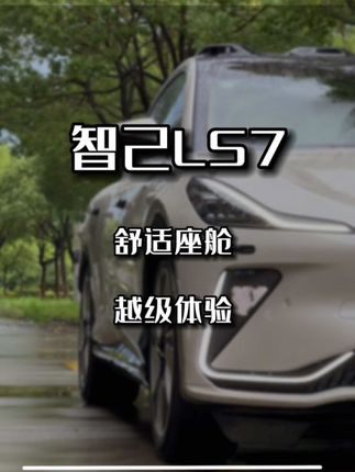 30万就可以买到一台私人飞机？这视野通透  #智己LS7