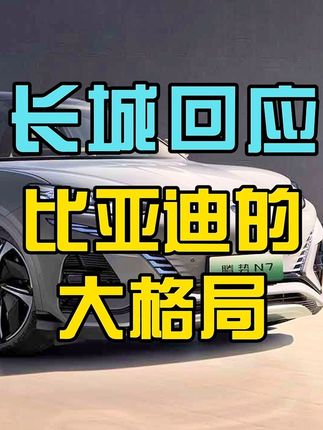 长城回应比亚迪的大格局，我跟你谈法律，你跟我谈感情？你支持谁？！#懂车帝 #比亚迪 #长城