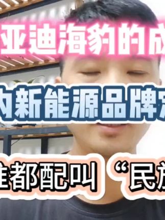 从比亚迪海豹的成本看国内新能源品牌定价，不是谁都配叫民族品牌 #比亚迪海豹成本低 #特斯拉成本控制