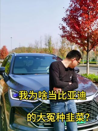 车评人的自白:为啥会当比亚迪的大冤种韭菜？并不是为了恰烂饭接广告！#比亚迪 #比亚迪汉 #车评人