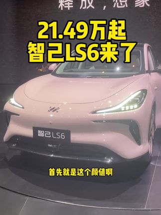 #智己LS6上市#金晨代言智己LS6 #特斯拉modely 20万出头的价格，全系标配激光雷达，智己Ls6真的可以冲一波！