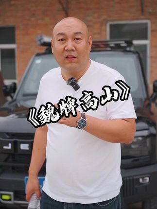 据说高山汽车可以对标合资百万豪车，这样的品牌是不是我们的骄傲呢 #国产车#懂车帝#魏牌高山