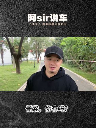 中国人呐，得有脊梁！ #抖音说车 #华为 #白象 #国产
