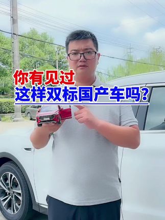 你有见过这样双标国产车的吗？#热门 #抖音汽车 #国产车#支持国产