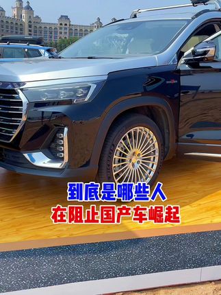 到底是哪些人在阻止国产车崛起？#说车聊车 #上热门 #支持国产 #国产车 #捷途胖哥 @抖音小助手