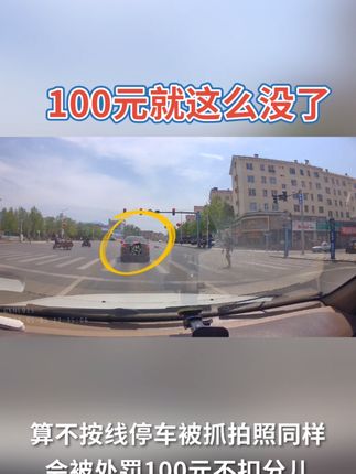 小刚聊车于20211009发布的作品
