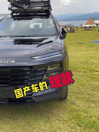 国产车的现状#支持国货 #dou是好车 #支持国产