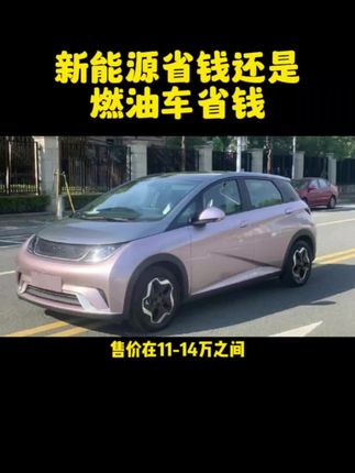 新能源车省钱还是燃油车省钱？今天一个视频告诉你