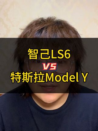 智己LS6和特斯拉Model Y怎么选？#智己LS6 #智己 #特斯拉modely #特斯拉 #咱别犟啊