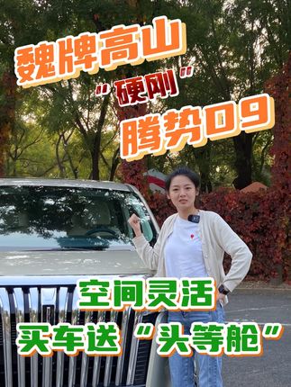 魏牌高山“硬刚”腾势D9，空间灵活，买车送“头等舱”#魏牌高山 #MPV #出行头等舱