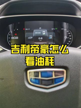 吉利帝豪怎么看平均油耗？阿华告诉大家两个方法，基本是很准确的油耗显示了。 #吉利帝豪 #油耗