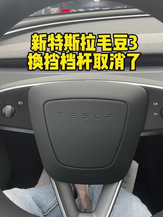 新款毛豆3设计反人类，档杆都给取消了您受得了吗？