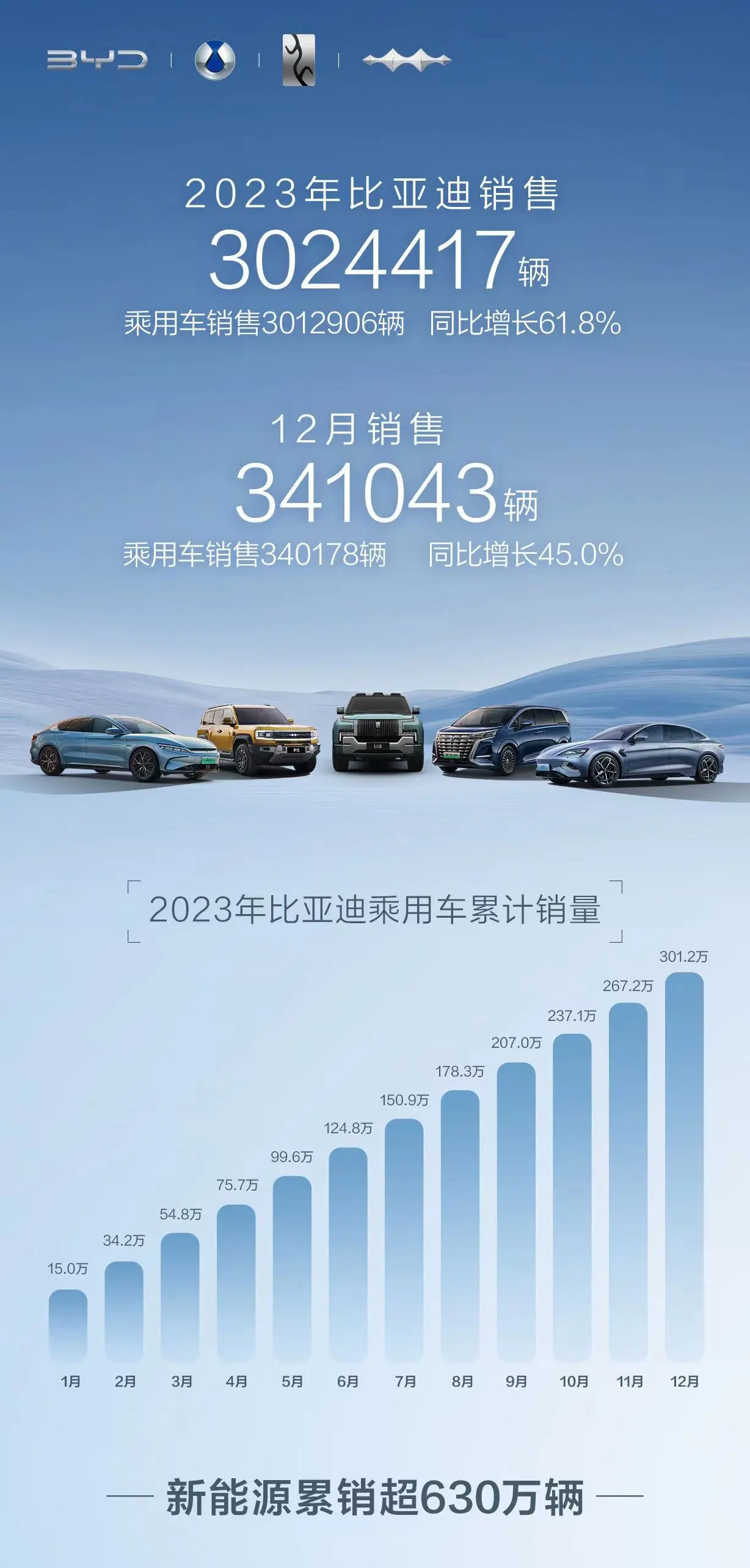 全年超300万销量，今年的销冠是中国品牌！