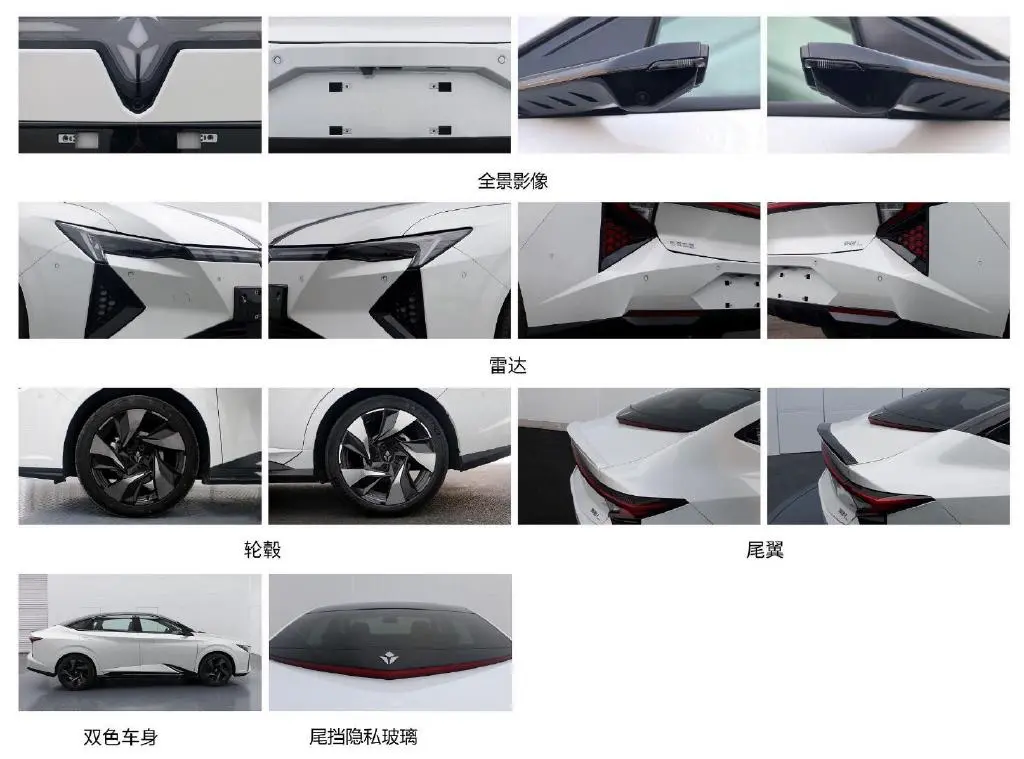 车长4.8米，造型独特，可选尾翼，比亚迪电池，现在入场为时已晚