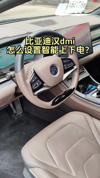 比亚迪汉dmi怎么设置智能上下电？#汽车知识分享 #比亚迪 #汉dmi