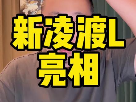 #凌渡L赛车现身上海车展 #新凌渡L 新款亮相，先恭喜333车队获得#CTCC S组别的冠军，我建议你等等新款。