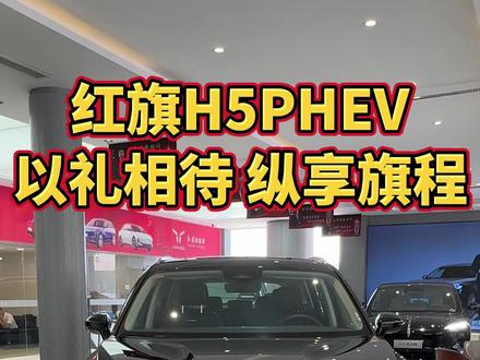 买混动到红旗#买混动到红旗