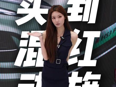 想低调还想面面俱到 #买混动到红旗 #豪车 #汽车人共创计划