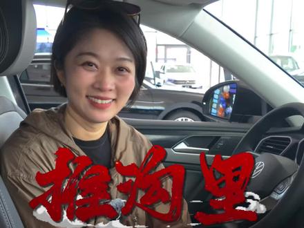 推沟里！探岳L保姆级导购教程