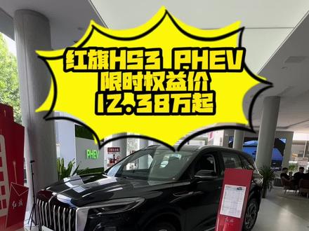 #选混动到红旗 #红旗HS3PHEV #卢迪有车 #抖音汽车人共创计划
