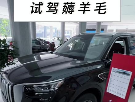 #红旗荣耀    #红旗HS5 #买车那点事儿  #卢迪有车
