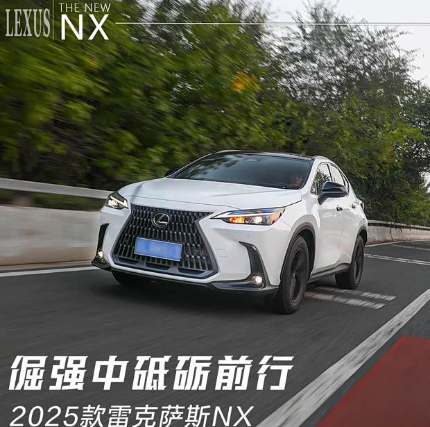 雷克萨斯NX购车指南：哪款配置最值得入手？