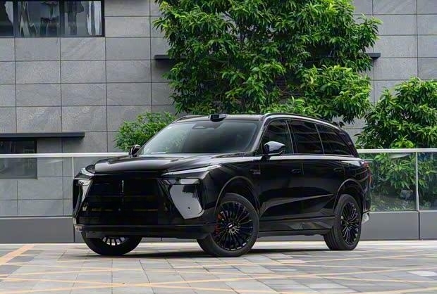 魏牌蓝山车型仪表装饰板问题 官方发布免费更换声明