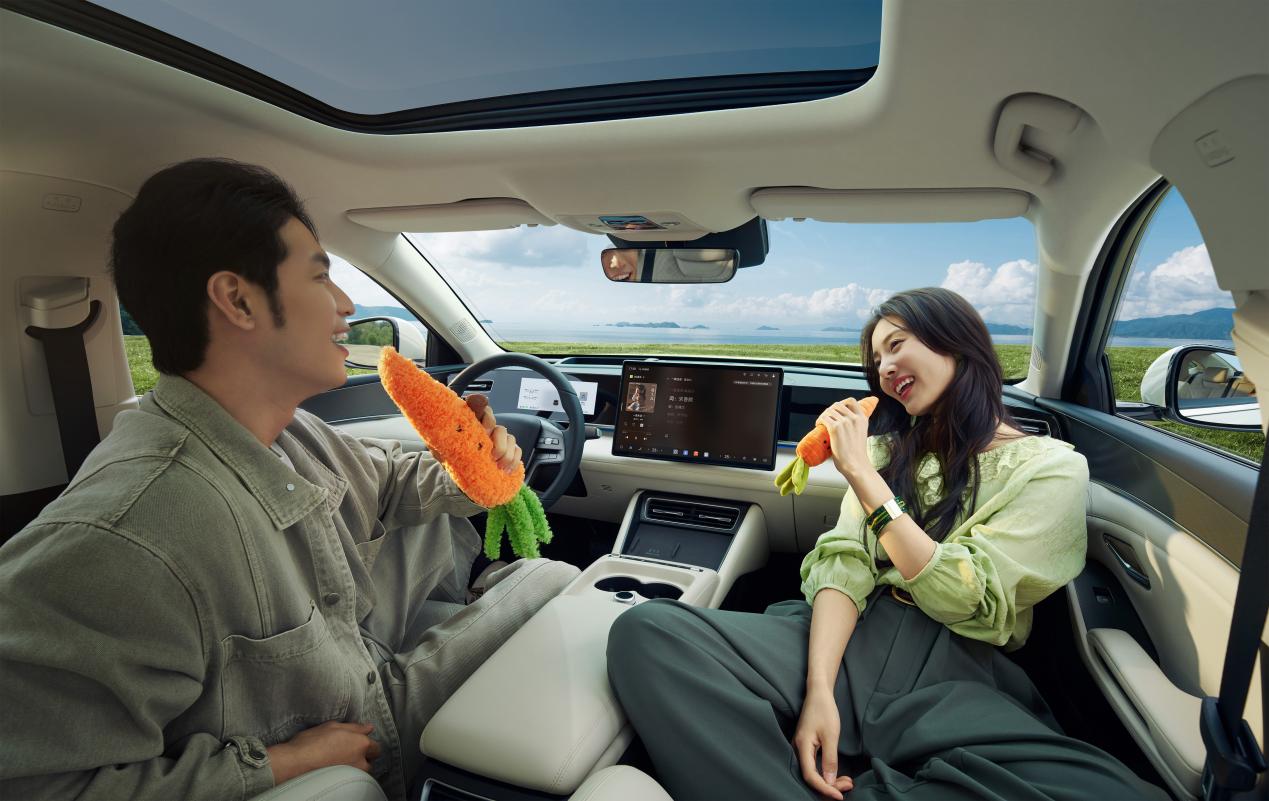 2025.12.24 秦L dmi 场景图01118 拷贝