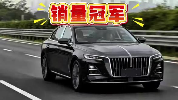 新一代国民神车红旗H5 #红旗H5 #国民神车 #红旗H5销量冠军