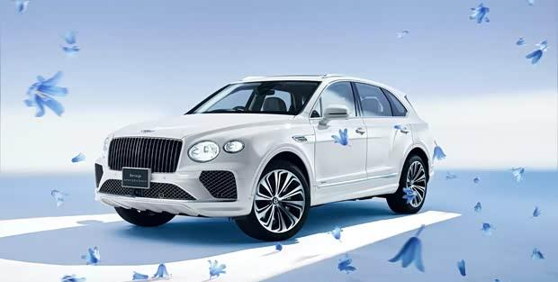 宾利添越特别版官图发布 海外售价约150万元