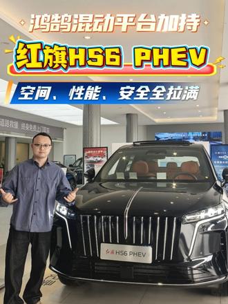鸿鹄混动平台加持！红旗HS6 PHEV：空间、性能、安全全拉满