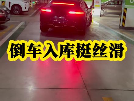 这车自动泊车挺丝滑#新阿维塔12上市 #50万内豪华轿车首选