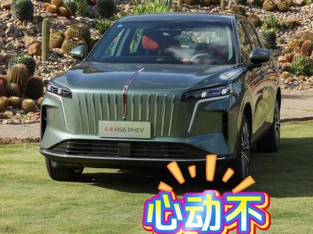 红旗HS6免费开一年，就问各位心动不？ #红旗HS6 #红旗 #插混 #SUV