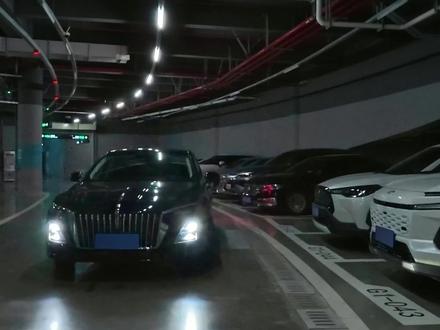 红旗女司机都这样吗？ #新红旗H5 #女司机来了 #自动泊车