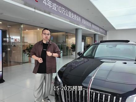 红旗H5通勤+家用+接待一车全搞定 #红旗H5 #新红旗H5 #B级车