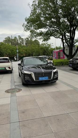 很难吗？ #新红旗H5    #自动泊车